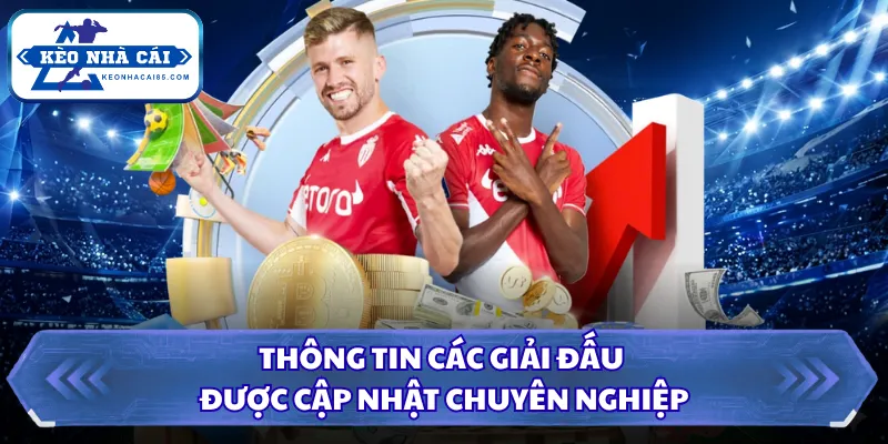 Thông tin các giải đấu được cập nhật chuyên nghiệp