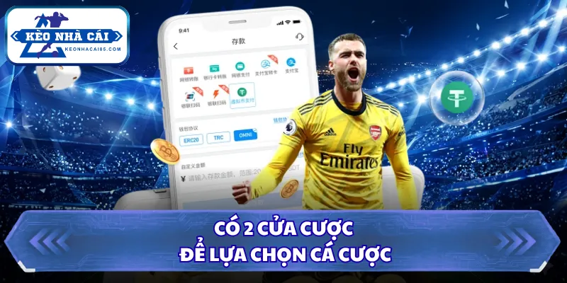 Có 2 cửa cược để lựa chọn cá cược