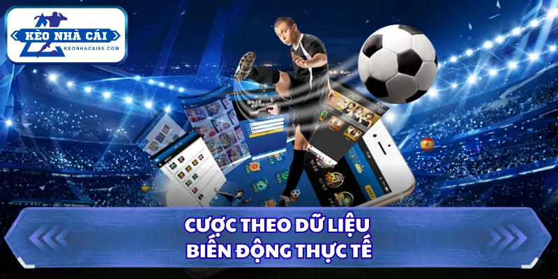 Cược theo dữ liệu biến động thực tế