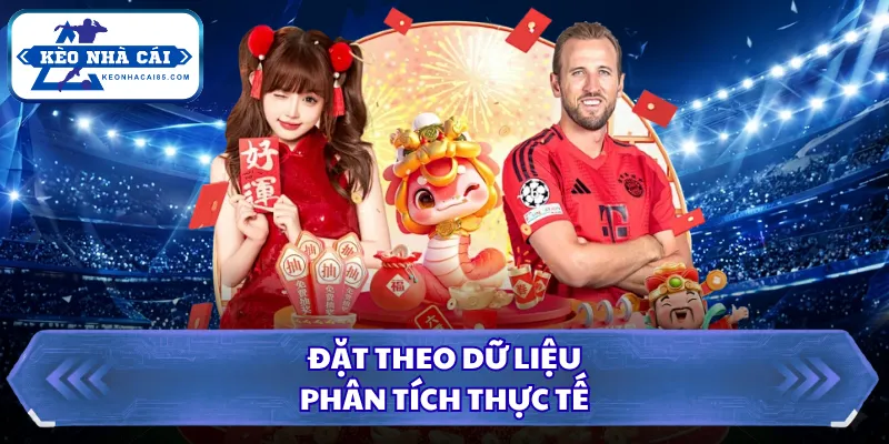 Đặt theo dữ liệu phân tích thực tế