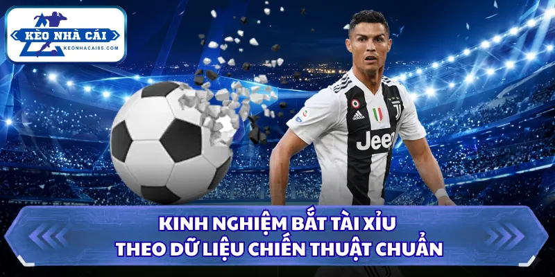 Kinh nghiệm bắt tài xỉu theo dữ liệu chiến thuật chuẩn