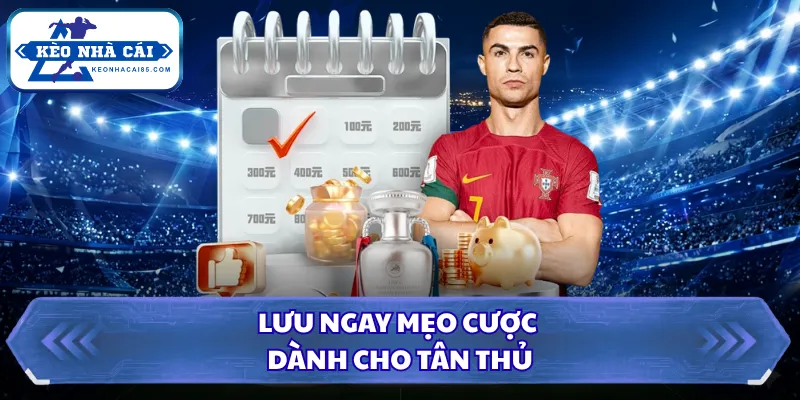 Lưu ngay mẹo cược dành cho tân thủ