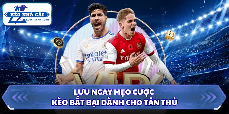 Lưu ngay mẹo cược kèo bất bại dành cho tân thủ