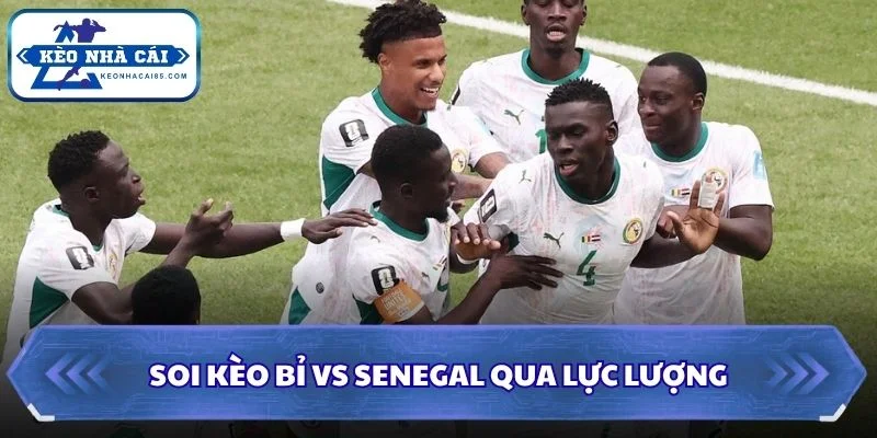 Soi kèo Bỉ vs Senegal qua lực lượng