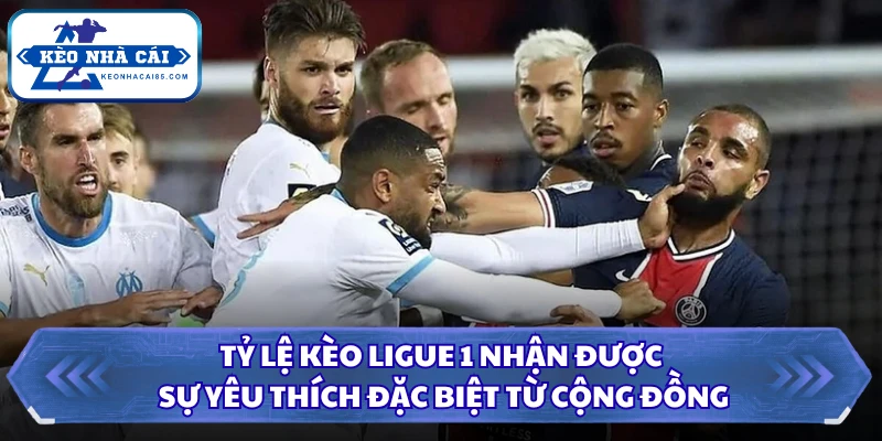 Tỷ lệ kèo Ligue 1 nhận được sự yêu thích đặc biệt từ cộng đồng
