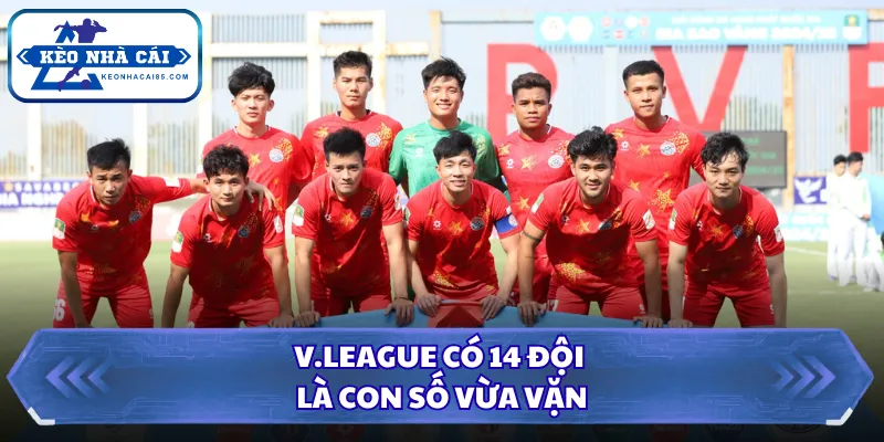 Giải V.League Có Bao Nhiêu Đội Bóng Góp Mặt Để Đua Tài? 3 V.League có 14 đội là con số vừa vặn