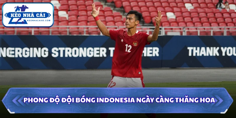 Phong độ đội bóng Indonesia ngày càng thăng hoa